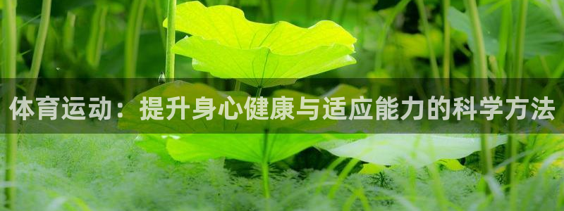 三亿体育登录