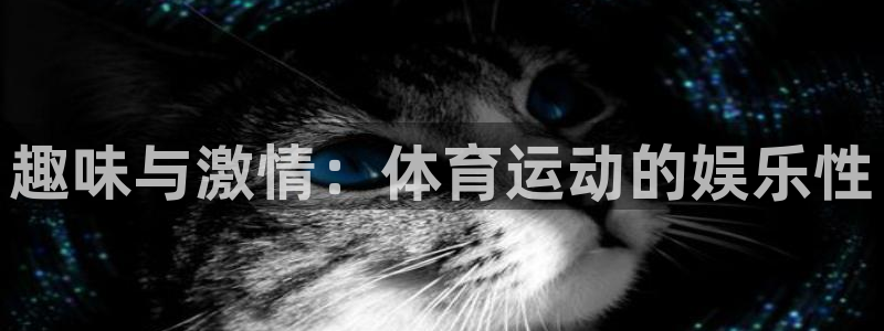 三亿体育网