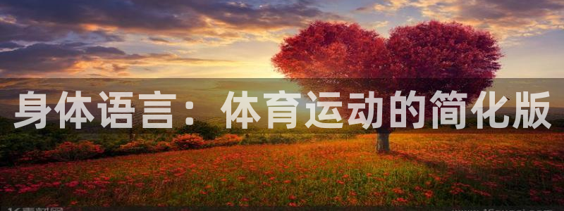三亿体育网