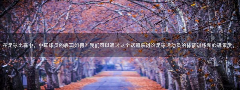 三亿体育网