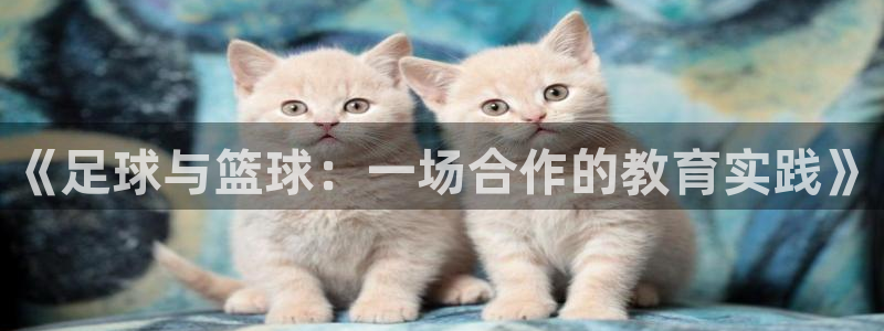 三亿体育登录