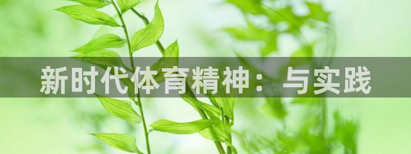 三亿体育网
