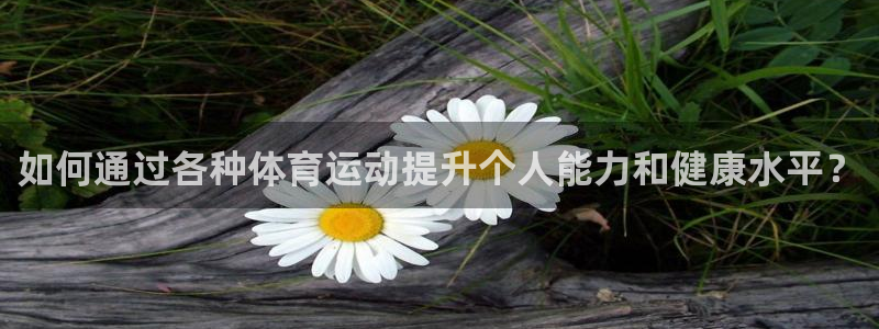 三亿体育网页版
