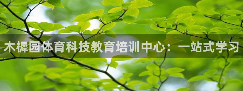 三亿体育登录