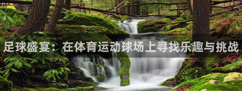 三亿体育网页版