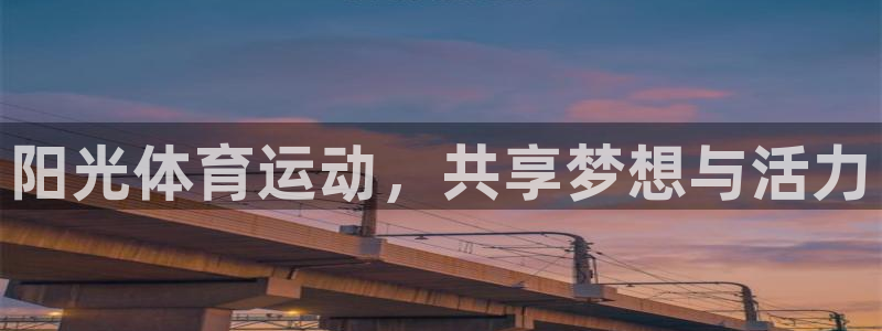 三亿体育